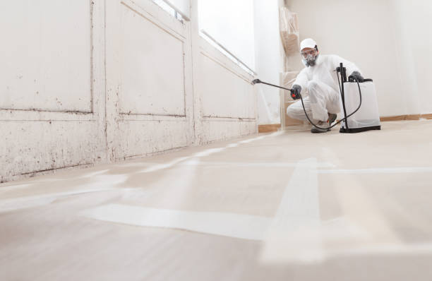 24/7 Emergency Mold Inspection experts in Franklin, MI