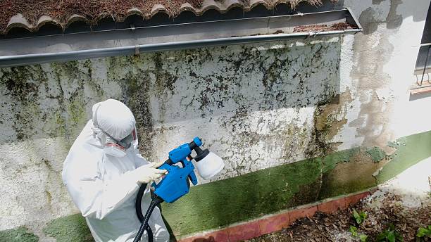 Trusted Mold Testing service in Franklin, MI - Cheap Mold Removal